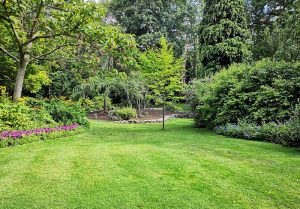 Optimiser l'expérience du jardin à Poinville